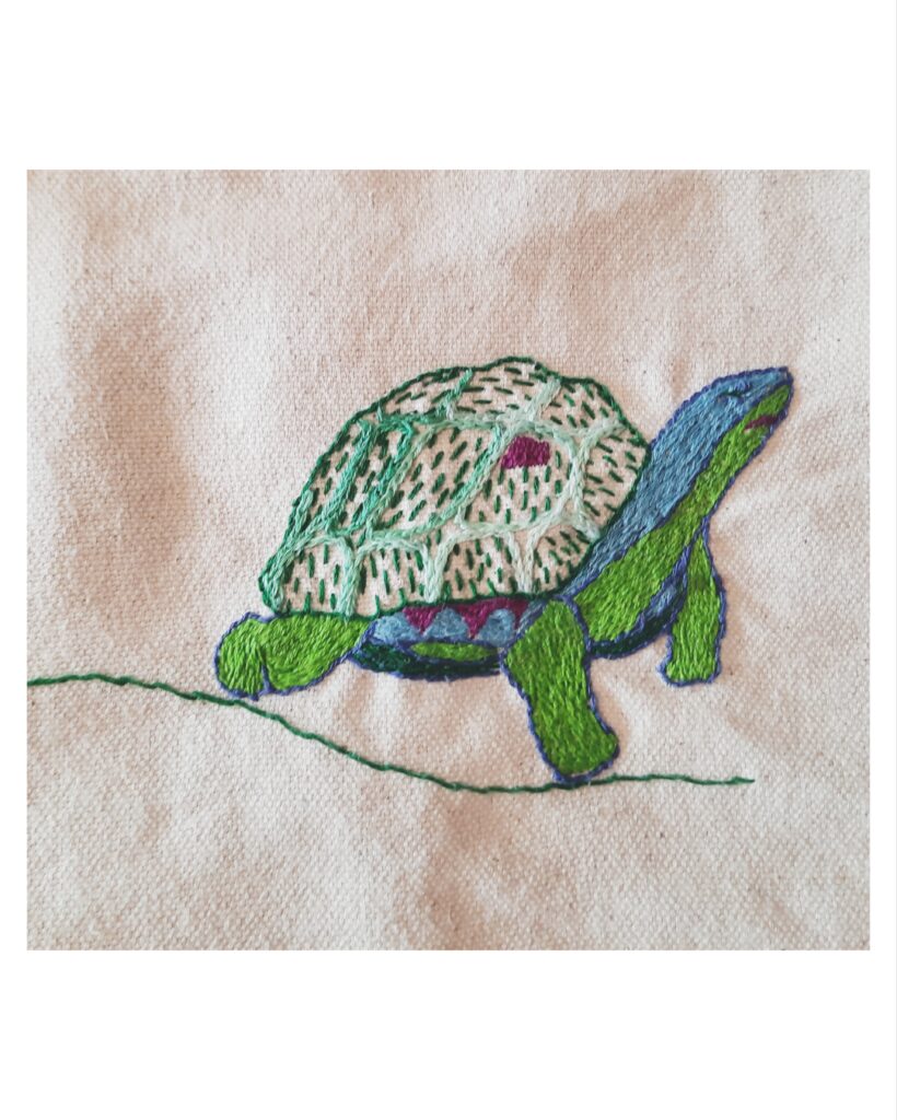 turtle
